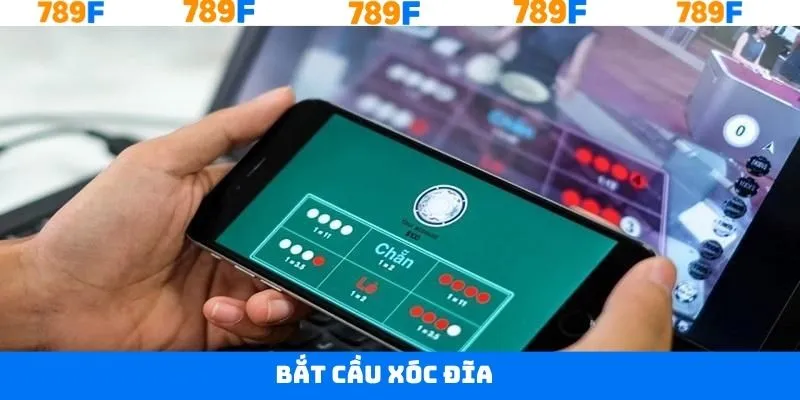 Bắt Cầu Xóc Đĩa - Chiến Thuật Hiệu Quả Từ Cao Thủ 789F