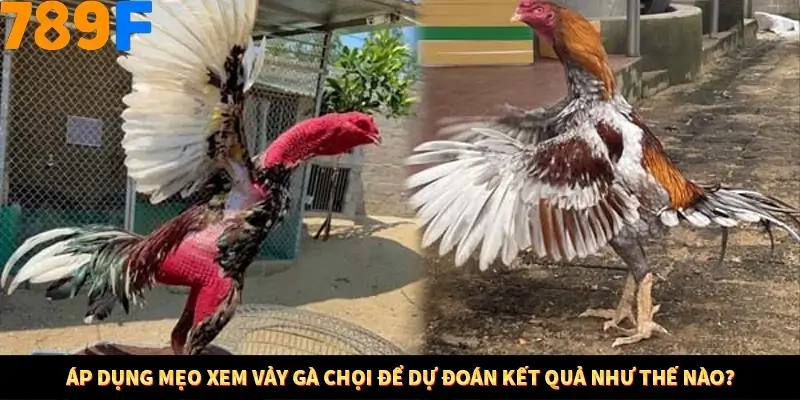 Mẹo Chọn Súng Trong Game bắn Cá Online Cực Hiệu Quả Tại 789F 12 Áp dụng mẹo xem vảy gà chọi để dự đoán kết quả như thế nào?
