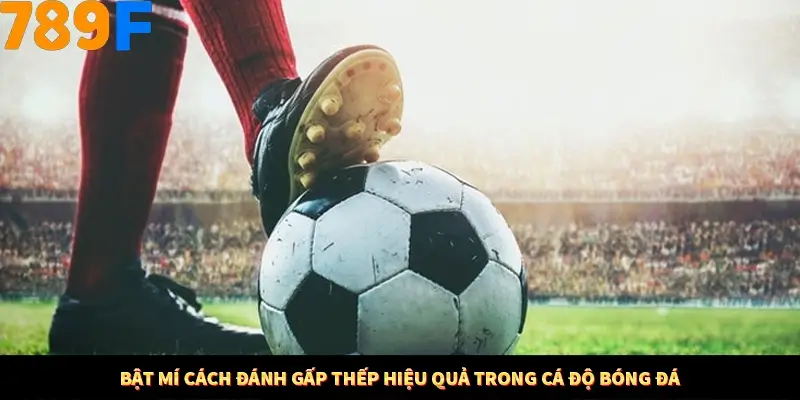 Mẹo Chọn Súng Trong Game bắn Cá Online Cực Hiệu Quả Tại 789F 14 Bật mí cách đánh gấp thếp hiệu quả trong cá độ bóng đá
