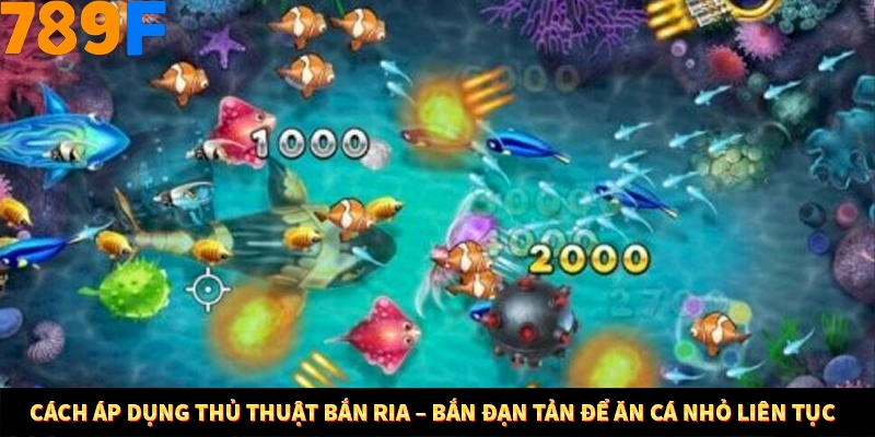 Kinh Nghiệm Quản Lý Vốn Khi Cá Cược Thể Thao – Phương Pháp Từ 789F 11 Cách áp dụng thủ thuật bắn ria – bắn đạn tản để ăn cá nhỏ liên tục