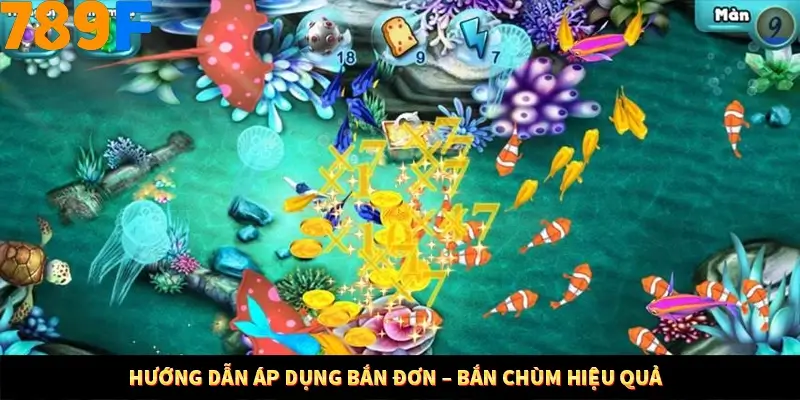 Kinh Nghiệm Quản Lý Vốn Khi Cá Cược Thể Thao – Phương Pháp Từ 789F 11 Hướng dẫn áp dụng bắn đơn – bắn chùm hiệu quả