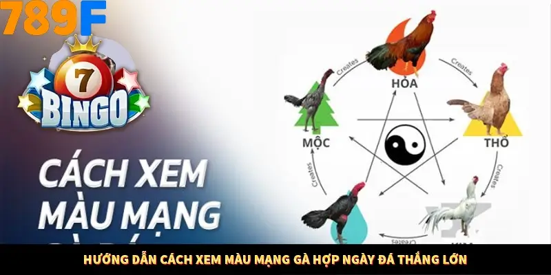 Kinh Nghiệm Quản Lý Vốn Khi Cá Cược Thể Thao – Phương Pháp Từ 789F 12 Hướng dẫn cách xem màu mạng gà hợp ngày đá thắng lớn