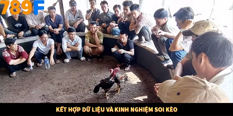 Mẹo Chọn Súng Trong Game bắn Cá Online Cực Hiệu Quả Tại 789F 12 Kết hợp dữ liệu và kinh nghiệm soi kèo