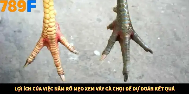 Mẹo Chọn Súng Trong Game bắn Cá Online Cực Hiệu Quả Tại 789F 10 Lợi ích của việc nắm rõ mẹo xem vảy gà chọi để dự đoán kết quả