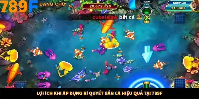 Kinh Nghiệm Quản Lý Vốn Khi Cá Cược Thể Thao – Phương Pháp Từ 789F 11 Lợi ích khi áp dụng bí quyết bắn cá hiệu quả tại 789F
