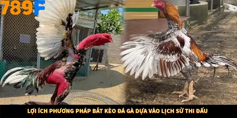 Kinh Nghiệm Quản Lý Vốn Khi Cá Cược Thể Thao – Phương Pháp Từ 789F 10 Lợi ích phương pháp bắt kèo đá gà dựa vào lịch sử thi đấu