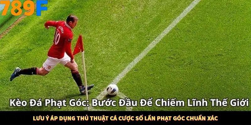 Mẹo Chọn Súng Trong Game bắn Cá Online Cực Hiệu Quả Tại 789F 12 Lưu ý áp dụng thủ thuật cá cược số lần phạt góc chuẩn xác