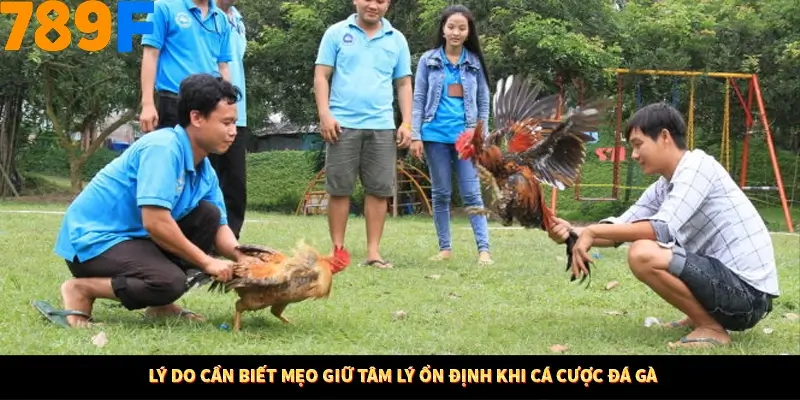 Kinh Nghiệm Quản Lý Vốn Khi Cá Cược Thể Thao – Phương Pháp Từ 789F 10 Lý do cần biết mẹo giữ tâm lý ổn định khi cá cược đá gà