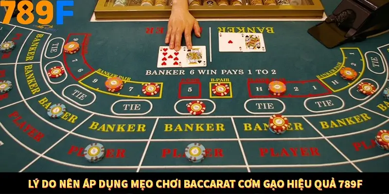 Kinh Nghiệm Quản Lý Vốn Khi Cá Cược Thể Thao – Phương Pháp Từ 789F 12 Lý do nên áp dụng mẹo chơi Baccarat cơm gạo hiệu quả 789F
