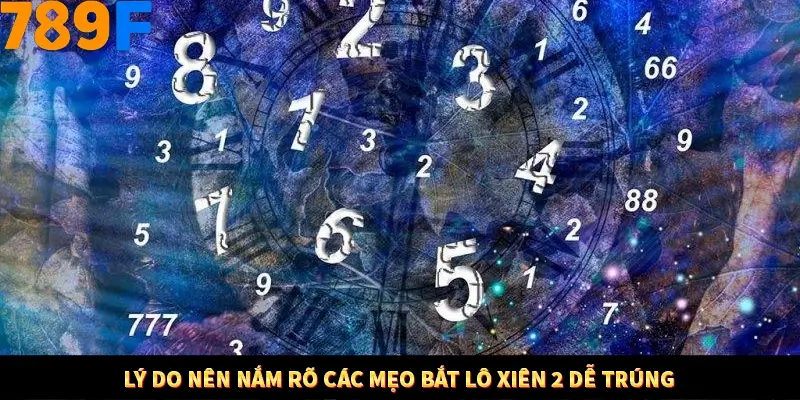 Kinh Nghiệm Quản Lý Vốn Khi Cá Cược Thể Thao – Phương Pháp Từ 789F 10 Lý do nên nắm rõ các mẹo bắt lô xiên 2 dễ trúng