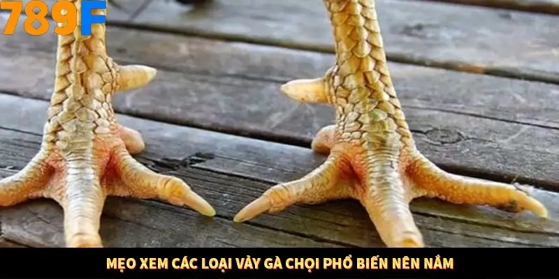 Mẹo Chọn Súng Trong Game bắn Cá Online Cực Hiệu Quả Tại 789F 11 Mẹo xem các loại vảy gà chọi phổ biến nên nắm