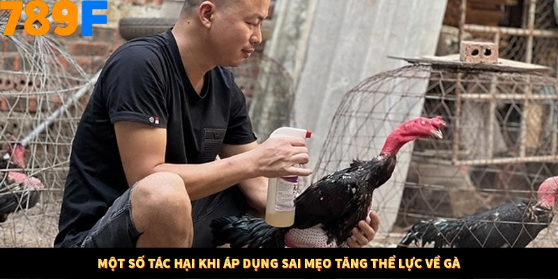 Kinh Nghiệm Quản Lý Vốn Khi Cá Cược Thể Thao – Phương Pháp Từ 789F 12 Một số tác hại khi áp dụng sai mẹo tăng thể lực về gà