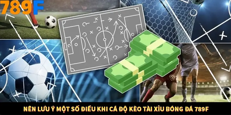 Kinh Nghiệm Quản Lý Vốn Khi Cá Cược Thể Thao – Phương Pháp Từ 789F 12 Nên lưu ý một số điều khi cá độ kèo tài xỉu bóng đá 789F
