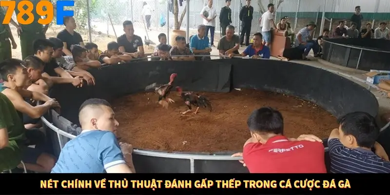 Mẹo Chọn Súng Trong Game bắn Cá Online Cực Hiệu Quả Tại 789F 10 Nét chính về thủ thuật đánh gấp thếp trong cá cược đá gà