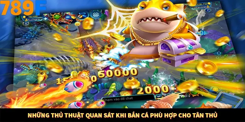 Kinh Nghiệm Quản Lý Vốn Khi Cá Cược Thể Thao – Phương Pháp Từ 789F 10 Những thủ thuật quan sát khi bắn cá phù hợp cho tân thủ