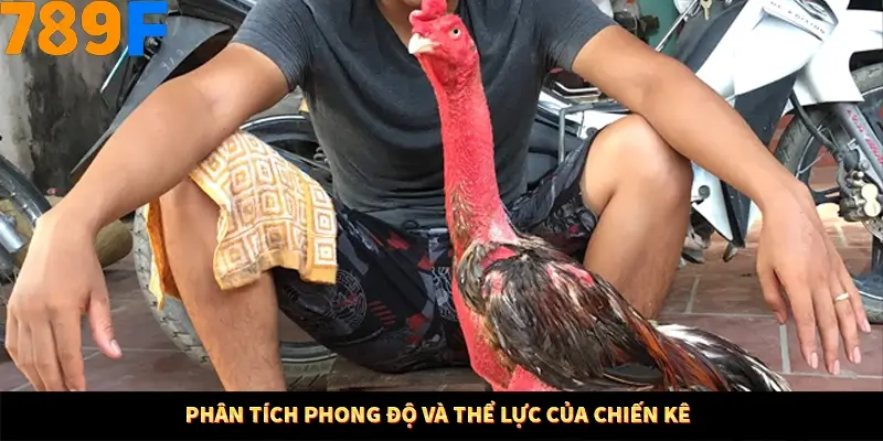 Kinh Nghiệm Quản Lý Vốn Khi Cá Cược Thể Thao – Phương Pháp Từ 789F 12 Phân tích phong độ và thể lực của chiến kê