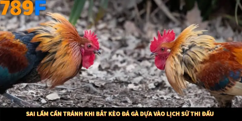 Kinh Nghiệm Quản Lý Vốn Khi Cá Cược Thể Thao – Phương Pháp Từ 789F 12 Sai lầm cần tránh khi bắt kèo đá gà dựa vào lịch sử thi đấu