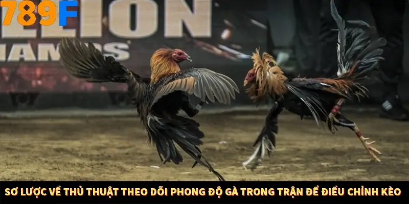 Kinh Nghiệm Quản Lý Vốn Khi Cá Cược Thể Thao – Phương Pháp Từ 789F 10 Sơ lược về thủ thuật theo dõi phong độ gà trong trận để điều chỉnh kèo