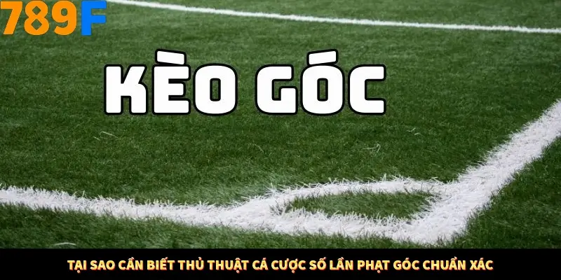 Mẹo Chọn Súng Trong Game bắn Cá Online Cực Hiệu Quả Tại 789F 10 Tại sao cần biết thủ thuật cá cược số lần phạt góc chuẩn xác