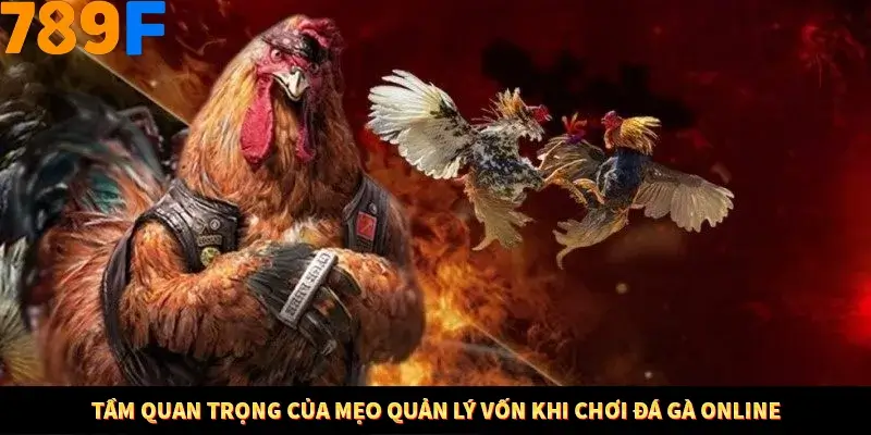 Mẹo Chọn Súng Trong Game bắn Cá Online Cực Hiệu Quả Tại 789F 10 Tầm quan trọng của mẹo quản lý vốn khi chơi đá gà online