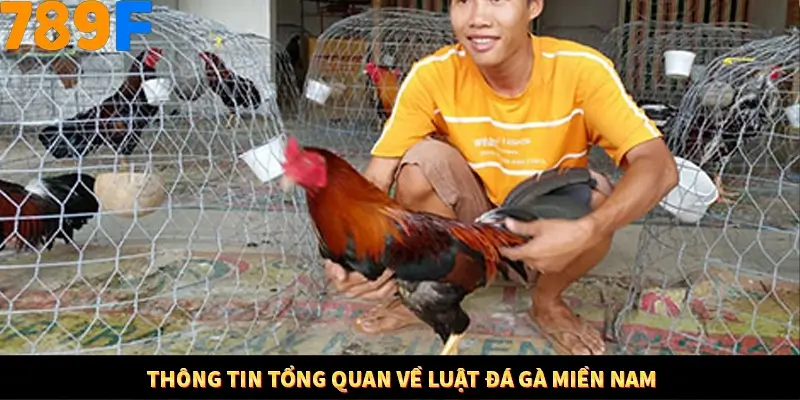 Kinh Nghiệm Quản Lý Vốn Khi Cá Cược Thể Thao – Phương Pháp Từ 789F 10 Thông tin tổng quan về luật đá gà miền Nam