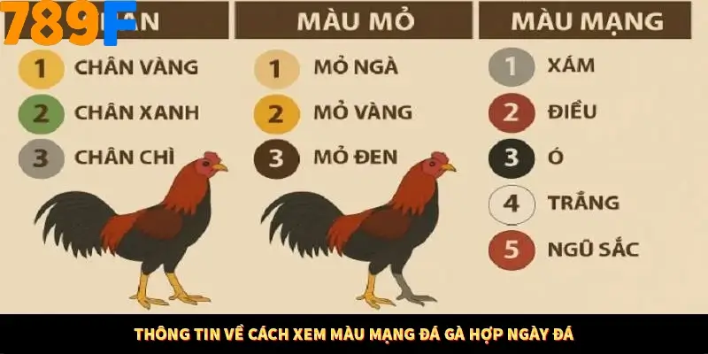 Kinh Nghiệm Quản Lý Vốn Khi Cá Cược Thể Thao – Phương Pháp Từ 789F 10 Thông tin về cách xem màu mạng đá gà hợp ngày đá