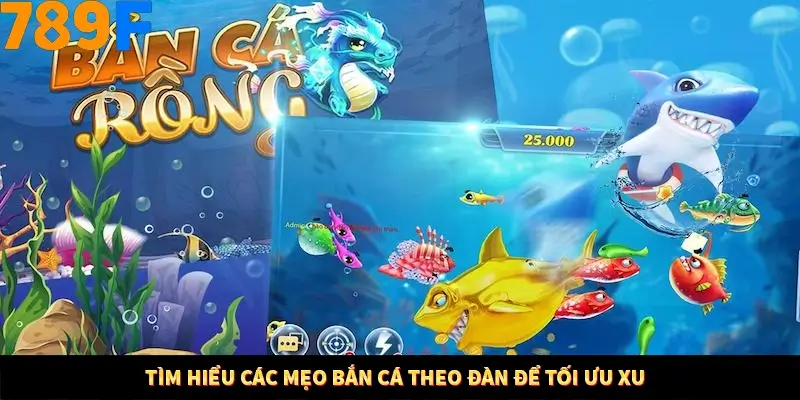 Kinh Nghiệm Quản Lý Vốn Khi Cá Cược Thể Thao – Phương Pháp Từ 789F 11 Tìm hiểu các mẹo bắn cá theo đàn để tối ưu xu