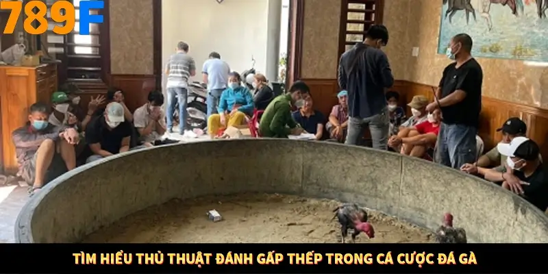 Mẹo Chọn Súng Trong Game bắn Cá Online Cực Hiệu Quả Tại 789F 11 Tìm hiểu thủ thuật đánh gấp thếp trong cá cược đá gà
