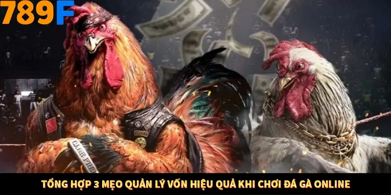 Mẹo Chọn Súng Trong Game bắn Cá Online Cực Hiệu Quả Tại 789F 11 Tổng hợp 3 mẹo quản lý vốn hiệu quả khi chơi đá gà online