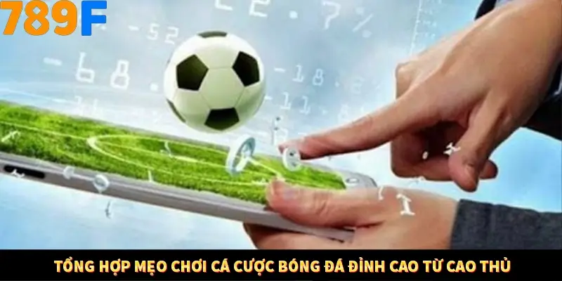 Kinh Nghiệm Quản Lý Vốn Khi Cá Cược Thể Thao – Phương Pháp Từ 789F 11 Tổng hợp mẹo chơi cá cược bóng đá đỉnh cao từ cao thủ