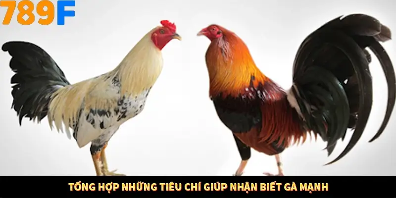 Mẹo Chọn Súng Trong Game bắn Cá Online Cực Hiệu Quả Tại 789F 11 Tổng hợp những tiêu chí giúp nhận biết gà mạnh