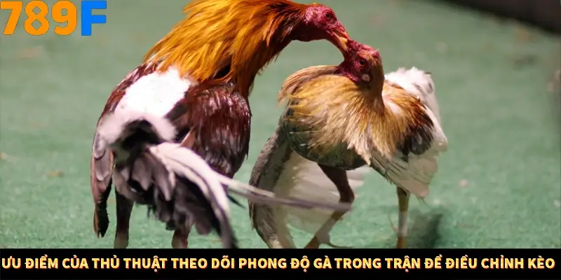 Kinh Nghiệm Quản Lý Vốn Khi Cá Cược Thể Thao – Phương Pháp Từ 789F 12 Ưu điểm của thủ thuật theo dõi phong độ gà trong trận để điều chỉnh kèo