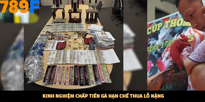 Thủ Thuật Đánh Kèo Rung An Toàn - Bí Mật Tăng Cơ Hội Thắng 789F 11 Kinh nghiệm chấp tiền gà hạn chế thua lỗ nặng