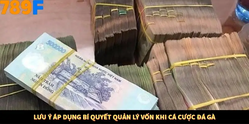 Thủ Thuật Đánh Kèo Rung An Toàn - Bí Mật Tăng Cơ Hội Thắng 789F 12 Lưu ý áp dụng bí quyết quản lý vốn khi cá cược đá gà