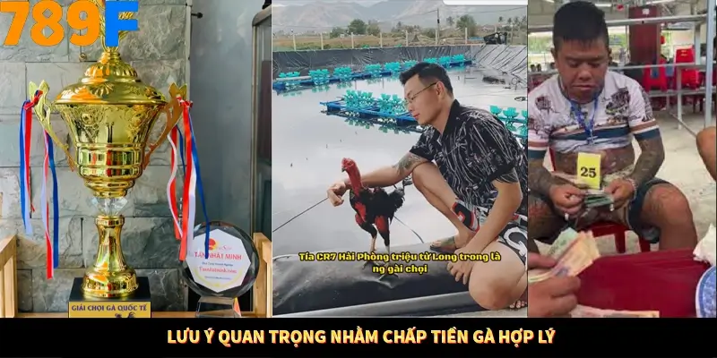 Thủ Thuật Đánh Kèo Rung An Toàn - Bí Mật Tăng Cơ Hội Thắng 789F 12 Lưu ý quan trọng nhằm chấp tiền gà hợp lý