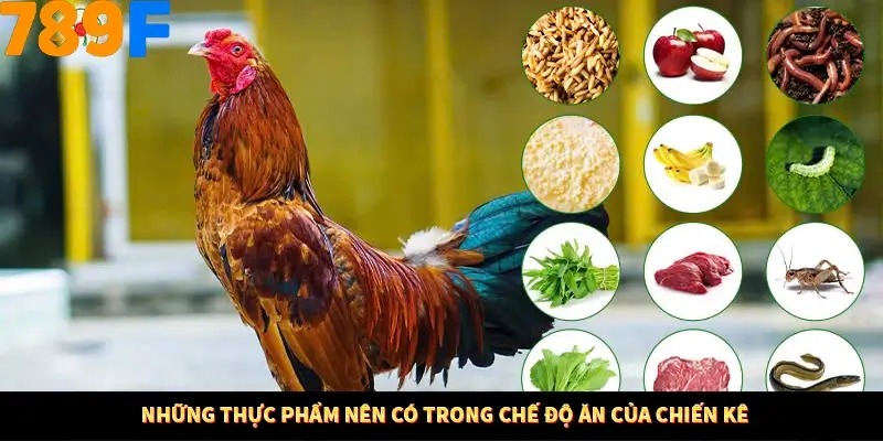 Thủ Thuật Đánh Kèo Rung An Toàn - Bí Mật Tăng Cơ Hội Thắng 789F 12 Những thực phẩm nên có trong chế độ ăn của chiến kê