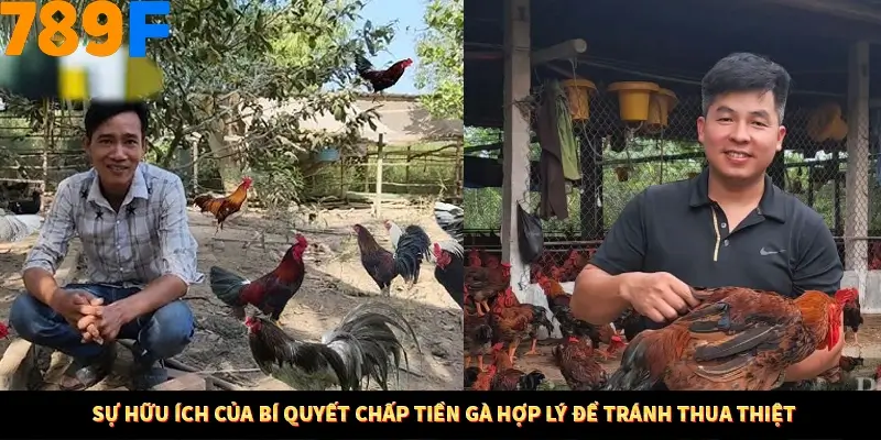 Thủ Thuật Đánh Kèo Rung An Toàn - Bí Mật Tăng Cơ Hội Thắng 789F 10 Sự hữu ích của bí quyết chấp tiền gà hợp lý để tránh thua thiệt