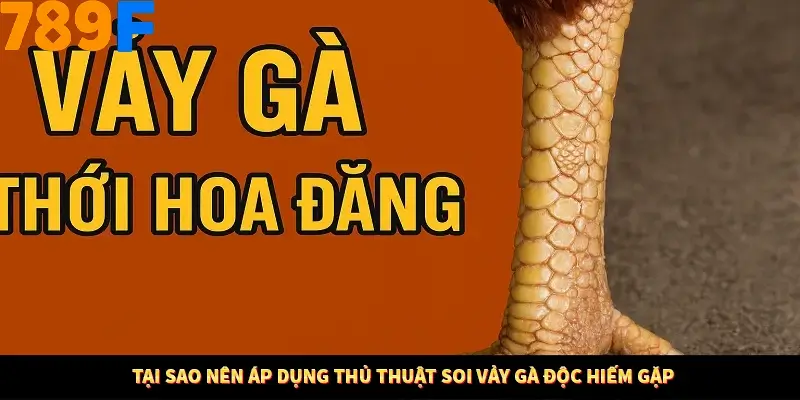 Thủ Thuật Đánh Kèo Rung An Toàn - Bí Mật Tăng Cơ Hội Thắng 789F 10 Tại sao nên áp dụng thủ thuật soi vảy gà độc hiếm gặp