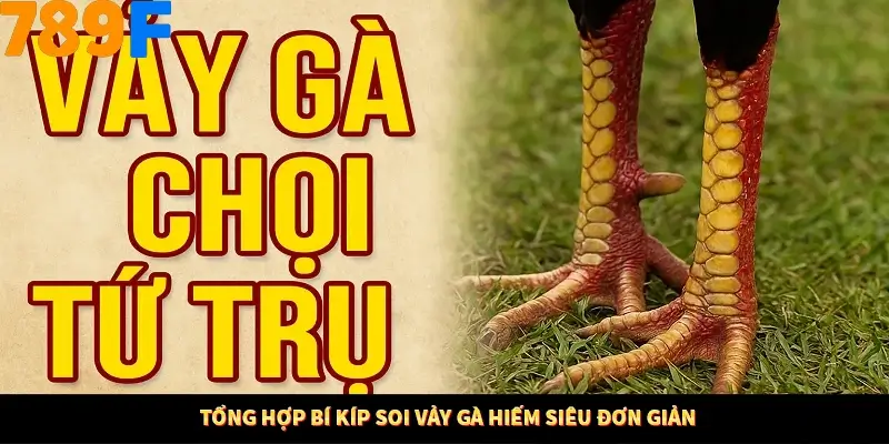 Thủ Thuật Đánh Kèo Rung An Toàn - Bí Mật Tăng Cơ Hội Thắng 789F 11 Tổng hợp bí kíp soi vảy gà hiếm siêu đơn giản